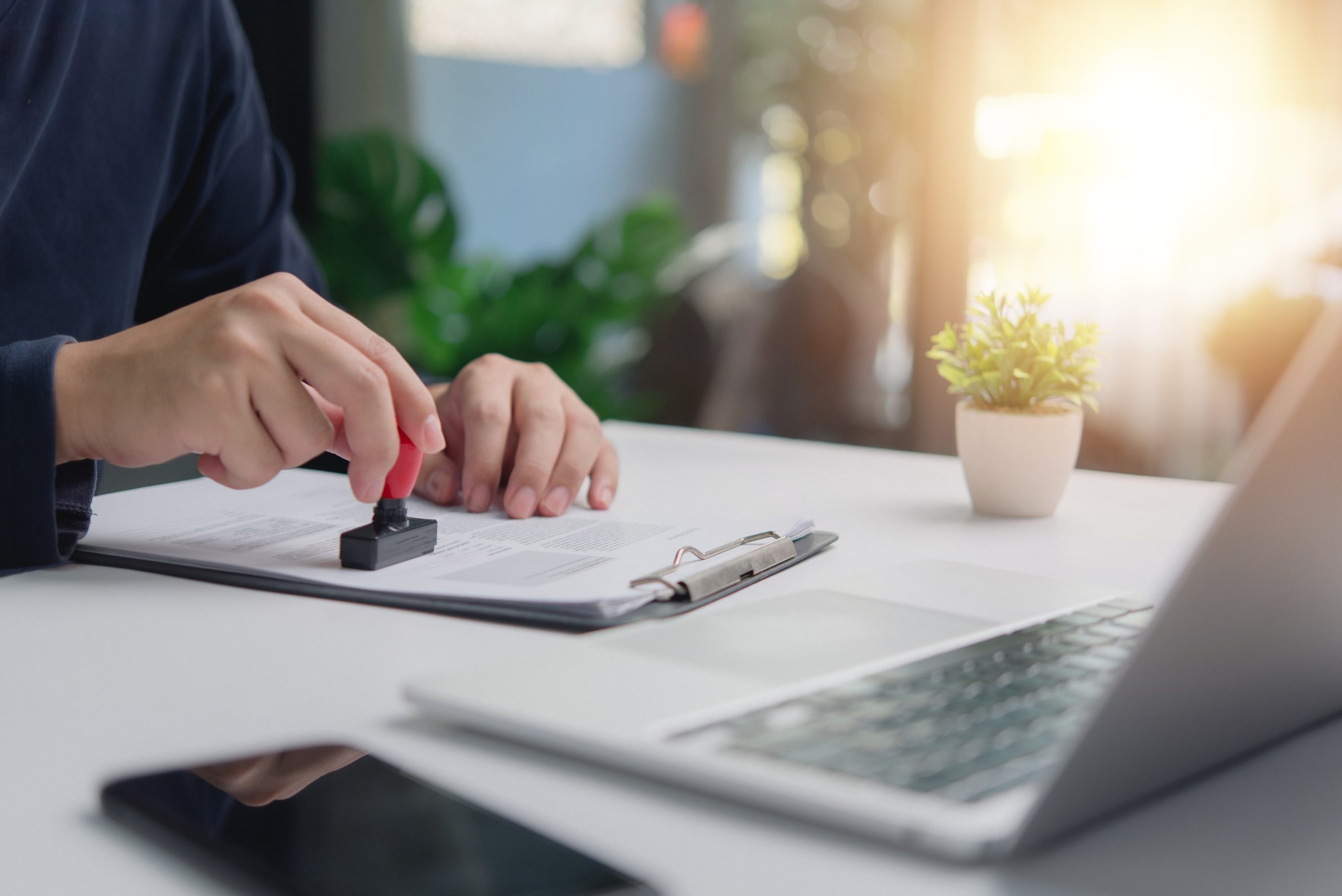 Carrera de Técnico de Nivel Superior en Administración Pública en IPG